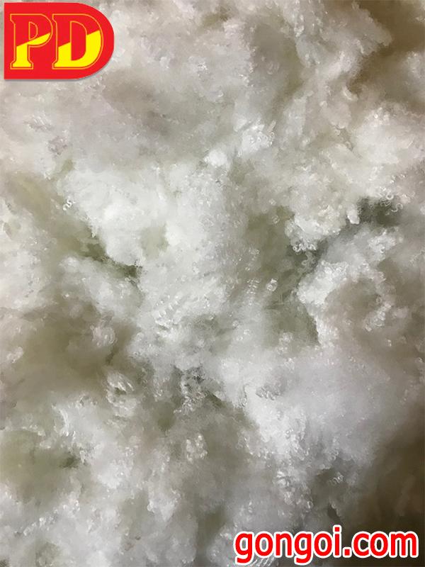 Xơ Bi Nguyên Sinh Nhập Khẩu 